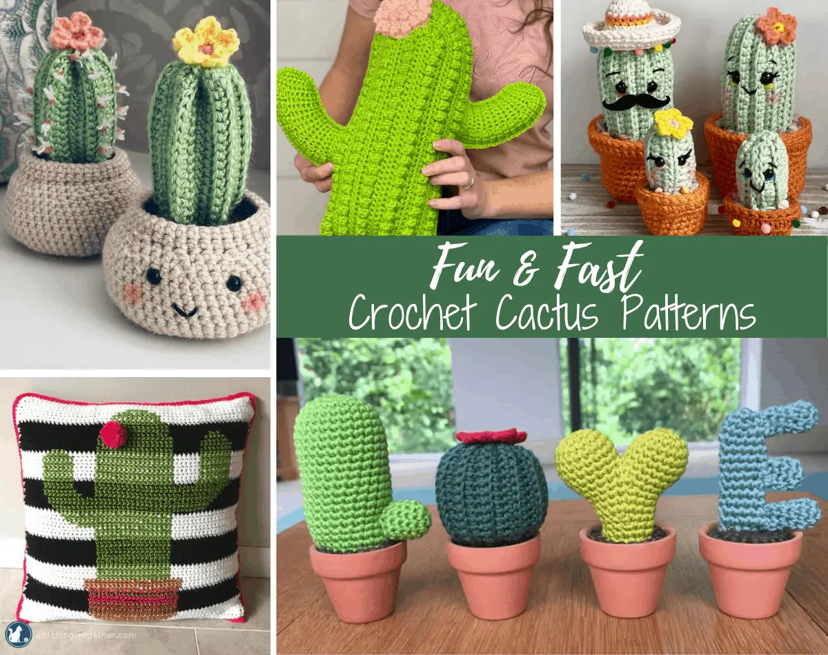 Complete Crochet Set For Beginners, DIY Potted Cactus Crochet Set