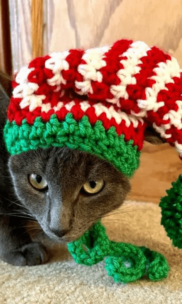 crochet bunny hat for cat