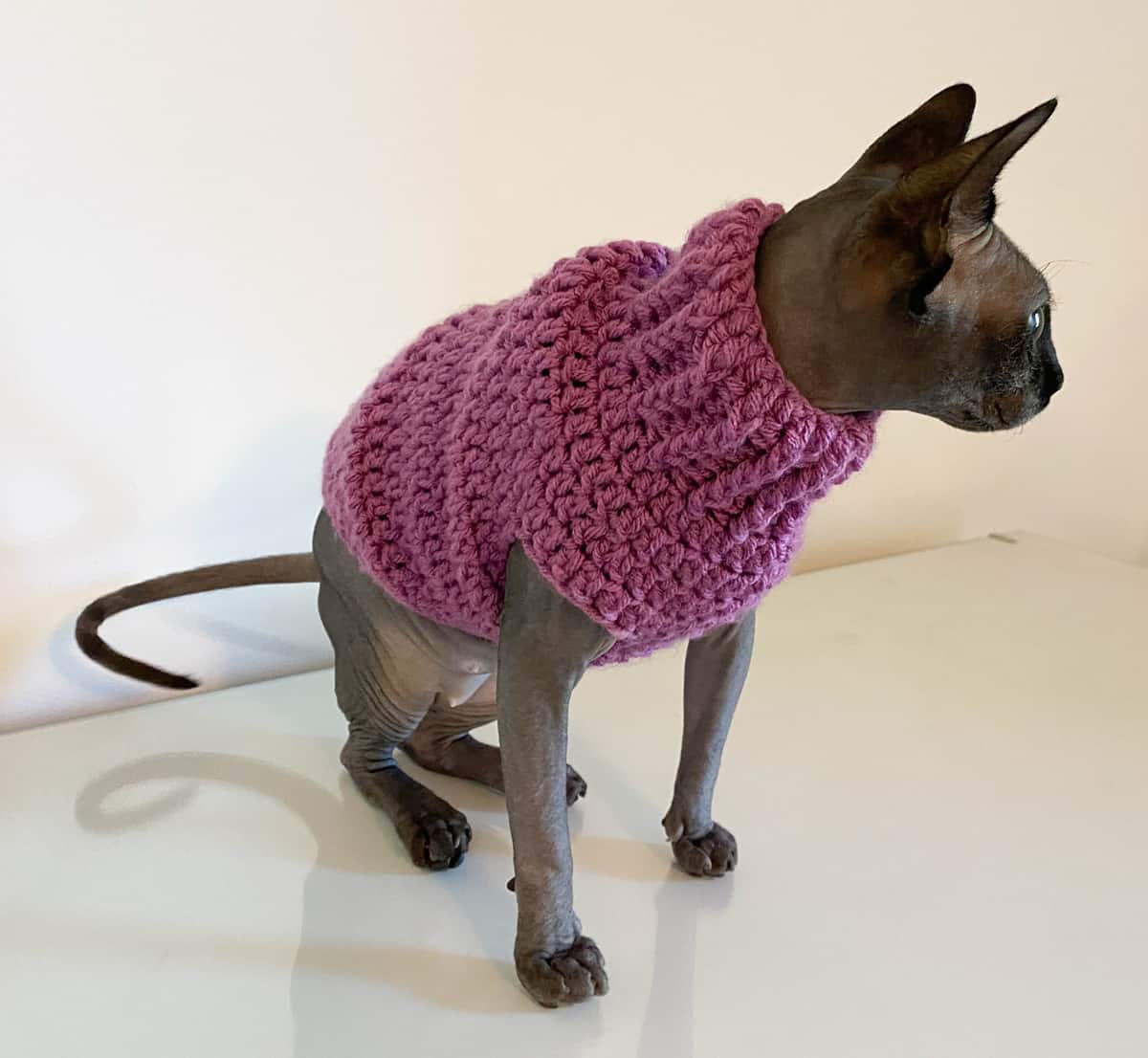 Crochet Cat Sweater - Crochet 365 Knit Too