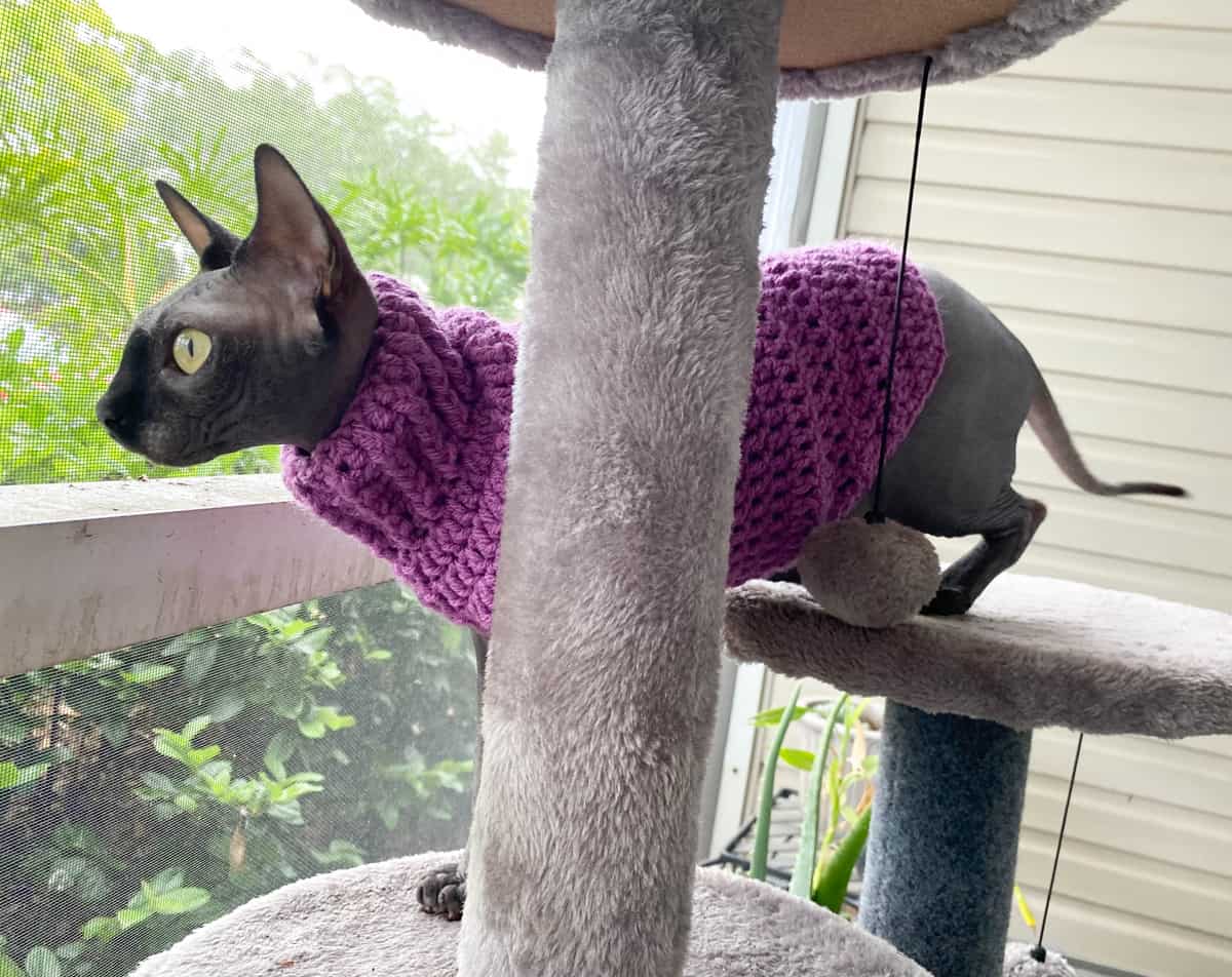 Pet Clothing Coat, Knitting Crochet, Pet Cat Clothes